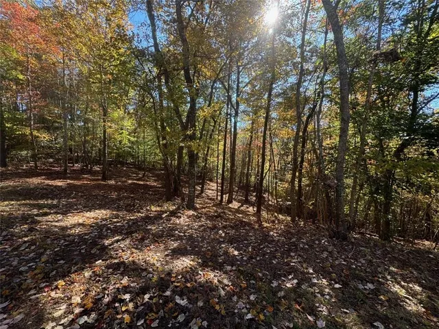 $519,000 | 0 Captain McDonald Road, Dahlonega, GA 30533