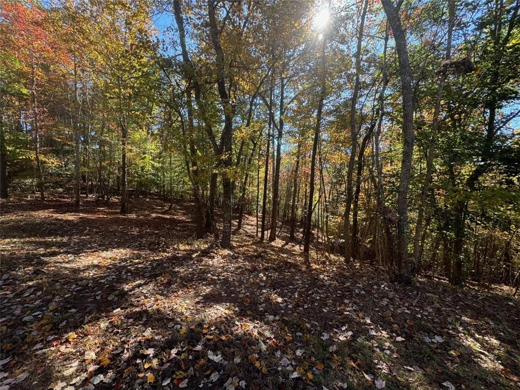 0 Captain McDonald Road Dahlonega, GA 30533 - Photo 2 of 10 a view of a forest