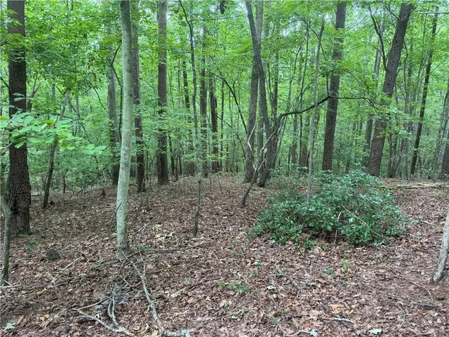 $519,000 | 0 Captain McDonald Road, Dahlonega, GA 30533