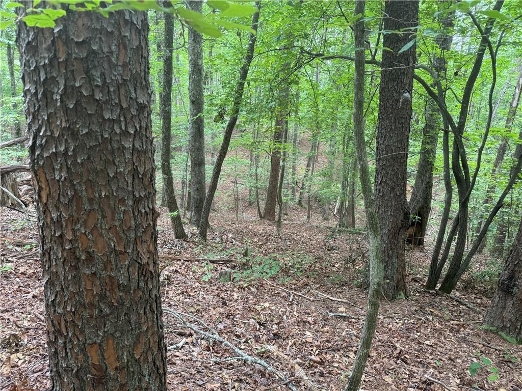 0 Captain McDonald Road Dahlonega, GA 30533 - Photo 6 of 10 a backyard of a house with lots of green space