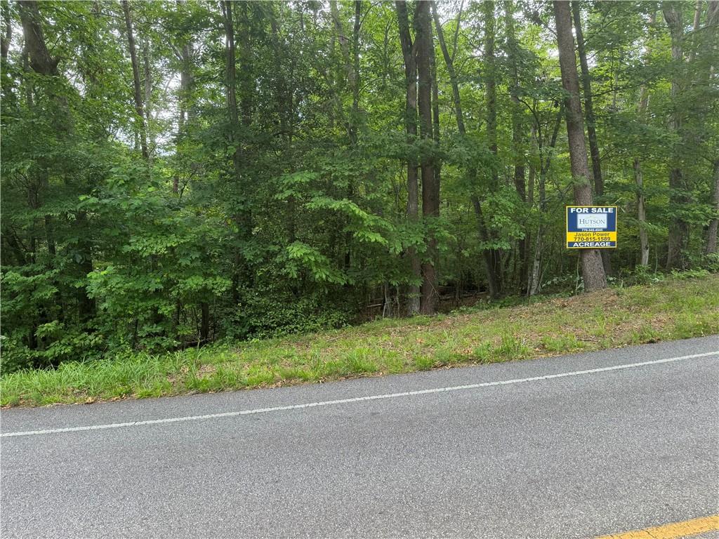0 Captain McDonald Road Dahlonega, GA 30533 - Photo 7 of 10 a view of a backyard