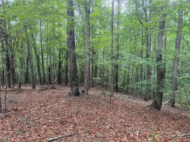 $519,000 | 0 Captain McDonald Road, Dahlonega, GA 30533