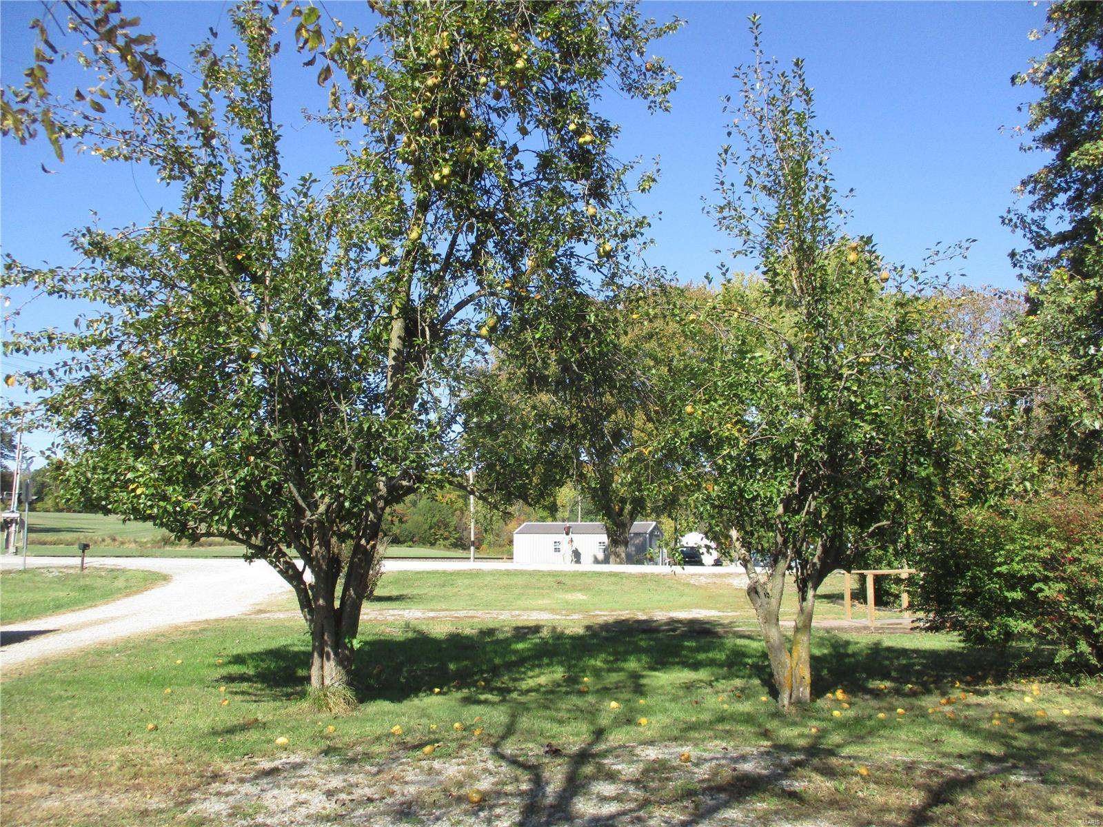 11006 Wine Hill Road Steeleville, IL 62288 - Photo 13 of 44 Gallery Image 13