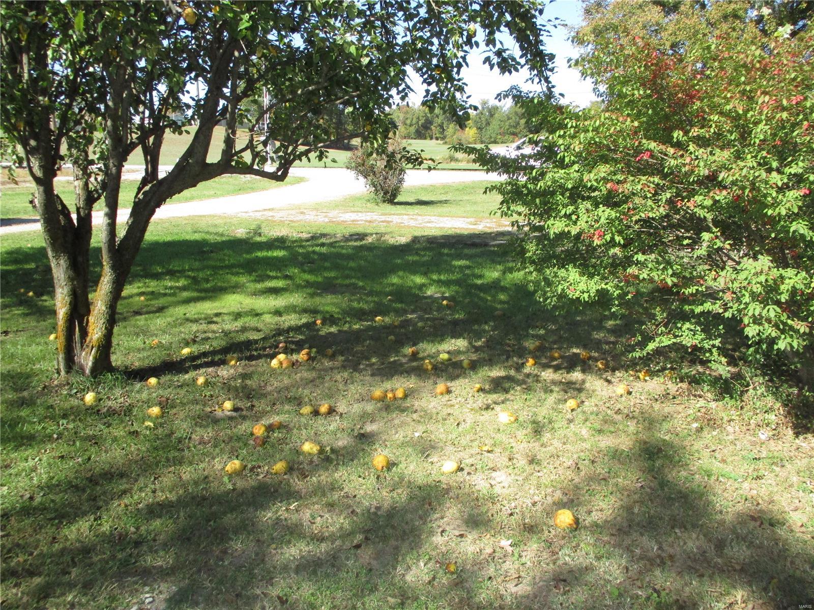 11006 Wine Hill Road Steeleville, IL 62288 - Photo 15 of 44 Gallery Image 15