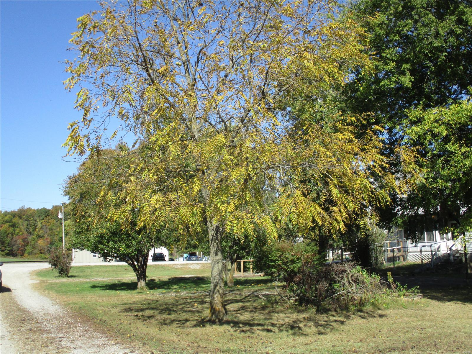 11006 Wine Hill Road Steeleville, IL 62288 - Photo 16 of 44 Gallery Image 16