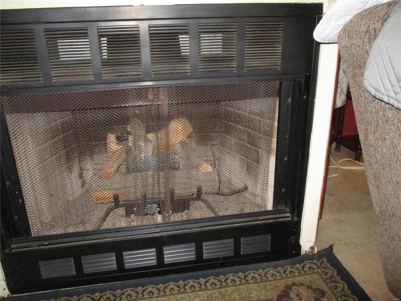 11006 Wine Hill Road Steeleville, IL 62288 - Photo 18 of 44 Gallery Image 18