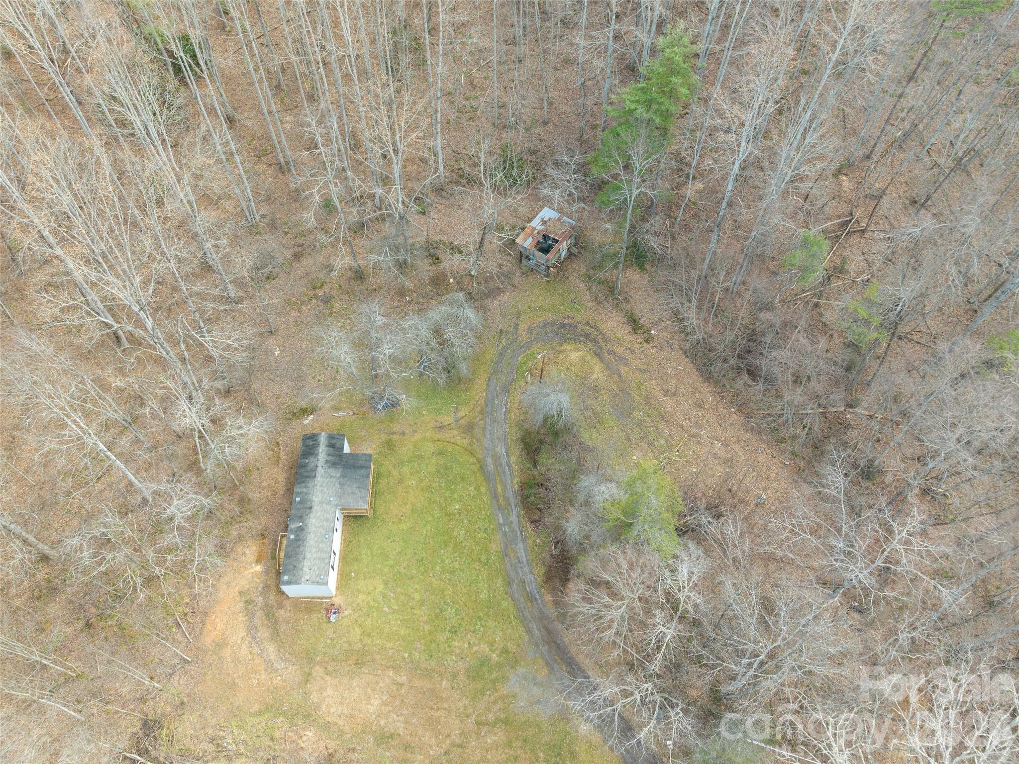 321 Shovel Creek Road Waynesville, NC 28786 - Photo 20 of 29