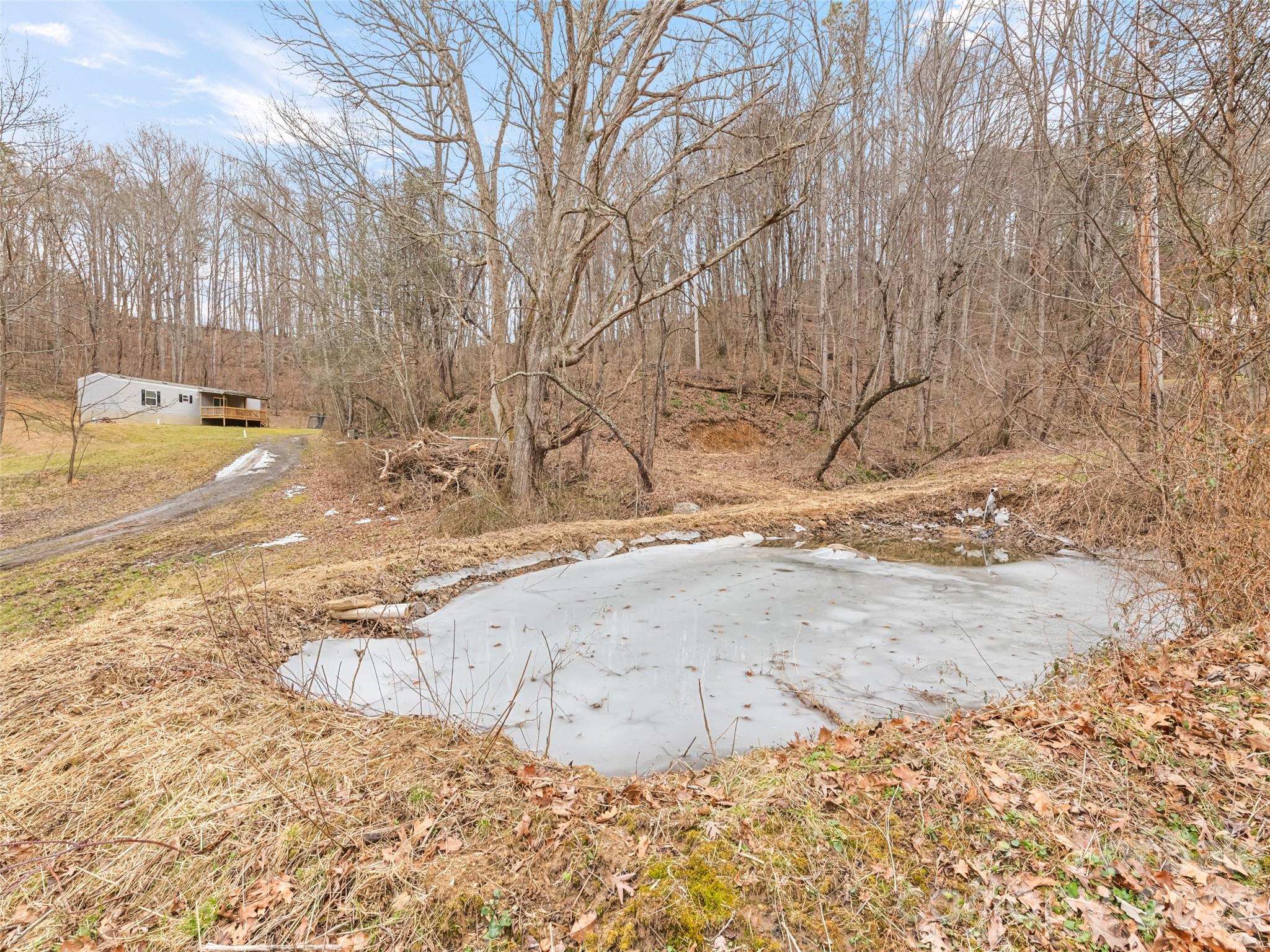 321 Shovel Creek Road Waynesville, NC 28786 - Photo 23 of 29