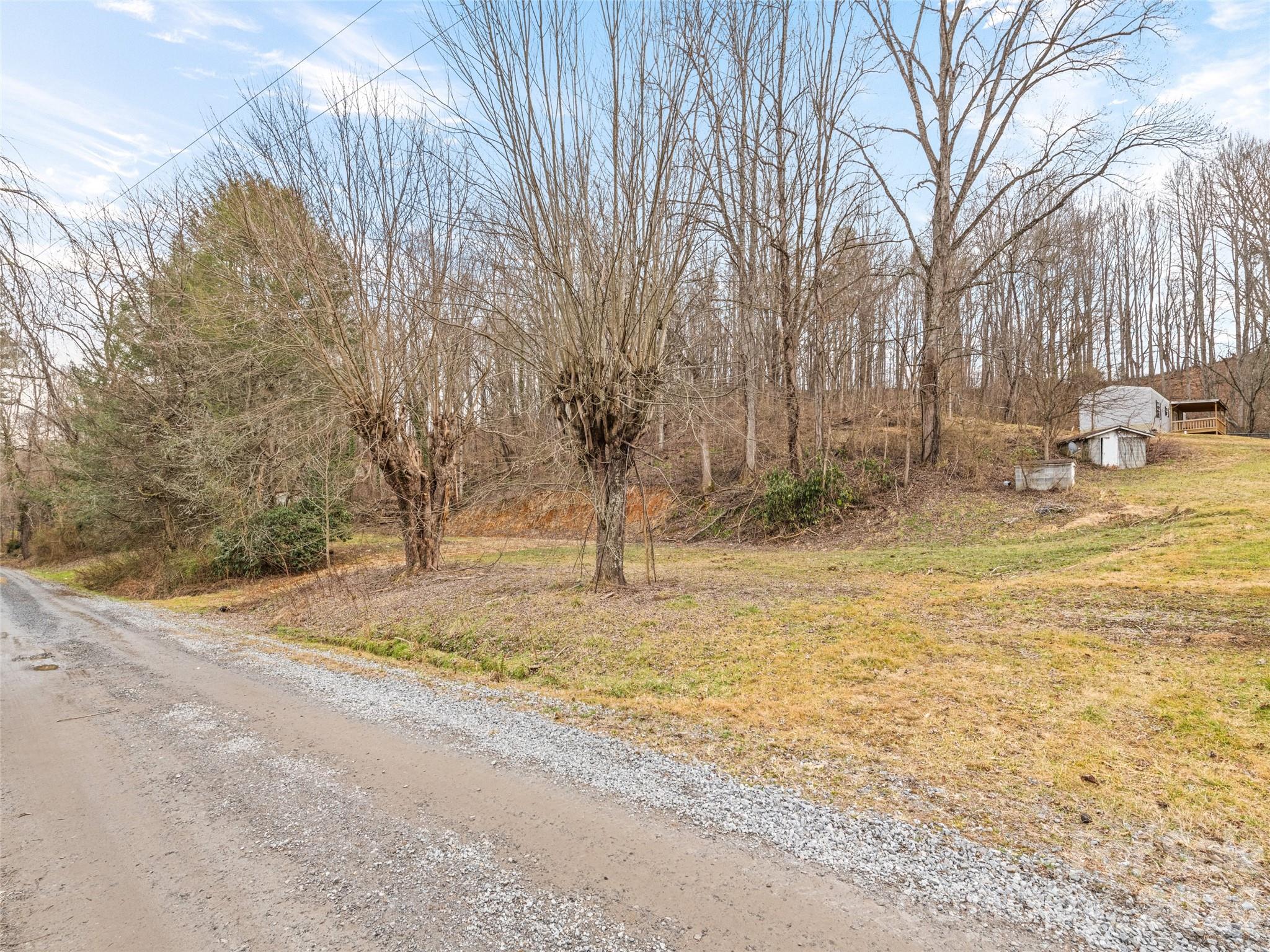 321 Shovel Creek Road Waynesville, NC 28786 - Photo 25 of 29