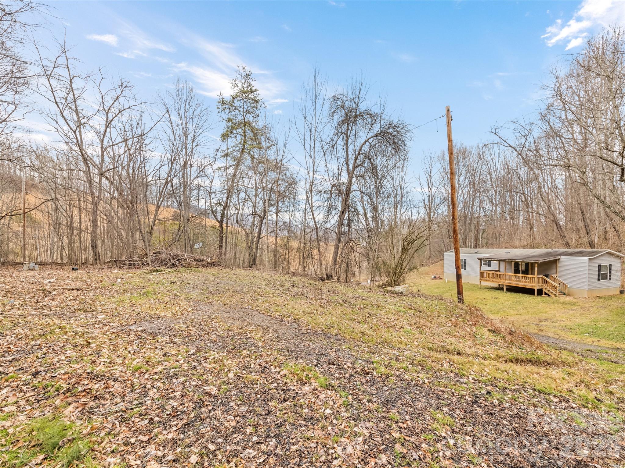 321 Shovel Creek Road Waynesville, NC 28786 - Photo 26 of 29