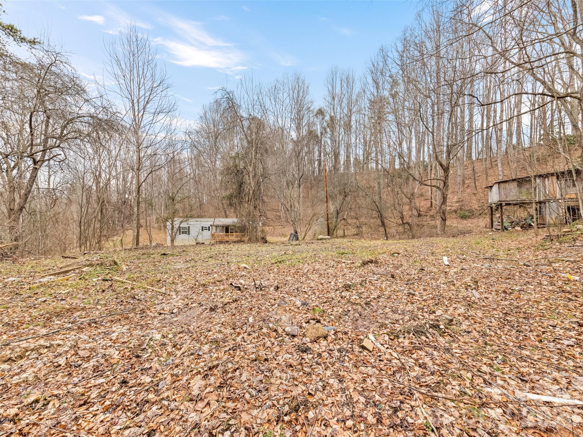 321 Shovel Creek Road Waynesville, NC 28786 - Photo 27 of 29