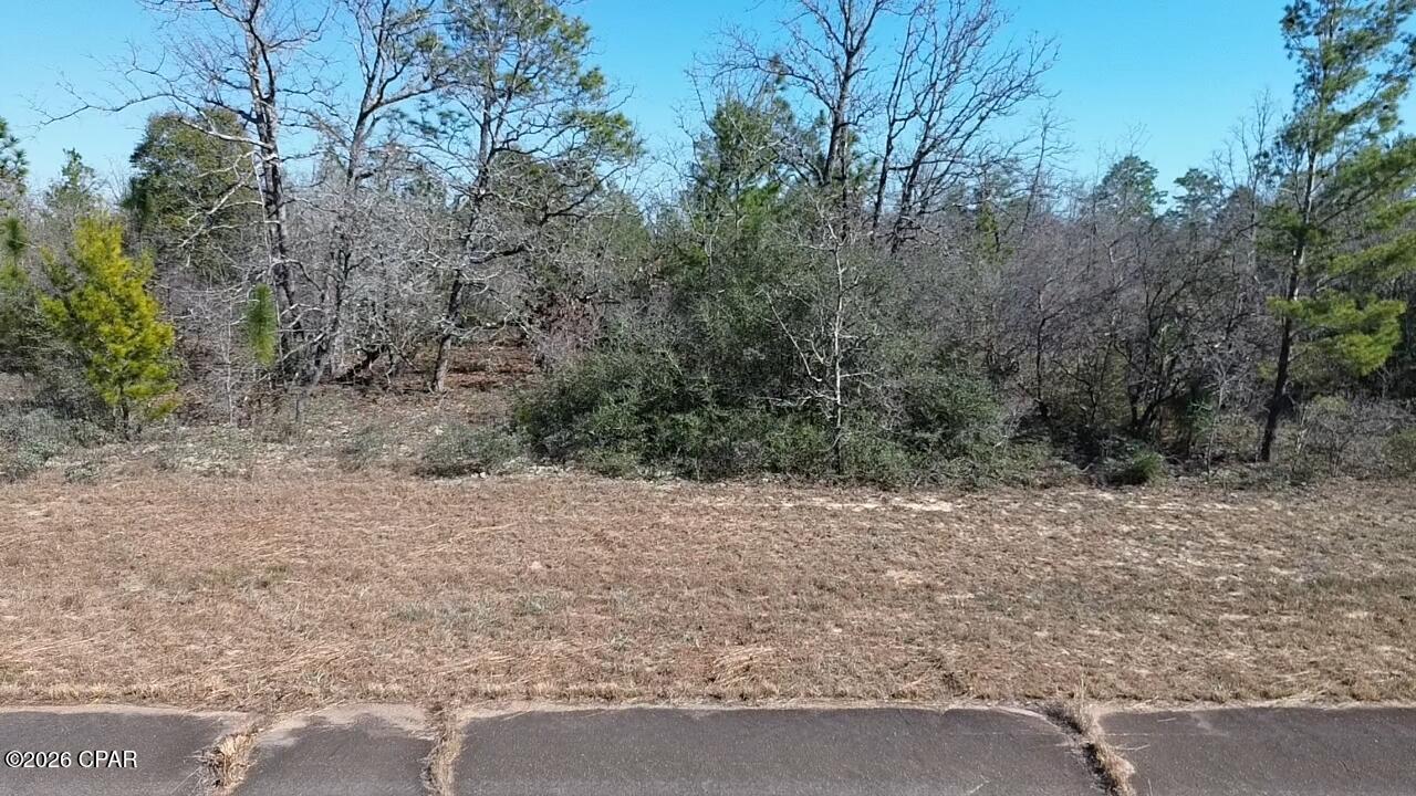 Lot 19 Fillmore Avenue, Unit 11 Chipley, FL 32428 - Photo 6 of 10
