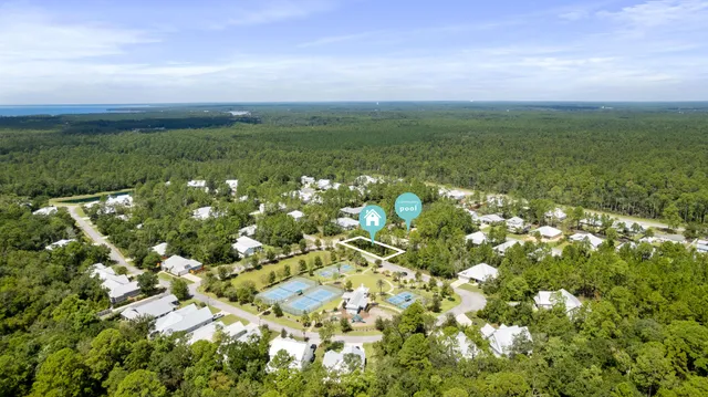 a view of a field with an tree