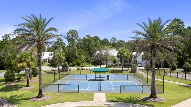 a view of a yard with palm trees