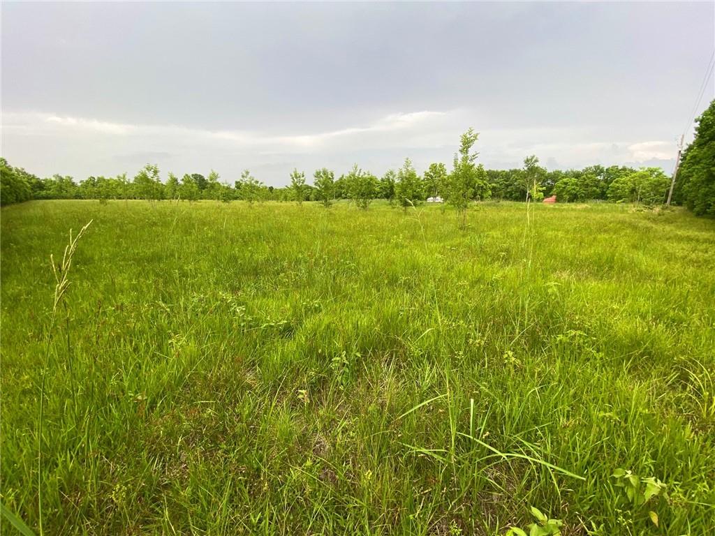 0 Ida Wells Road Deville, LA 71328 - Photo 15 of 18