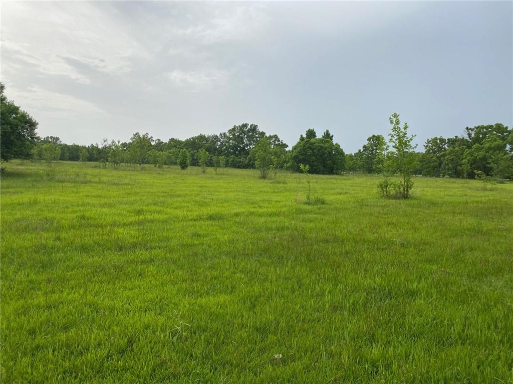 0 Ida Wells Road Deville, LA 71328 - Photo 18 of 18