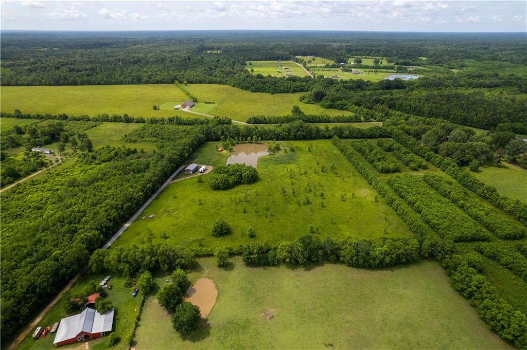 0 Ida Wells Road Deville, LA 71328 - Photo 9 of 18