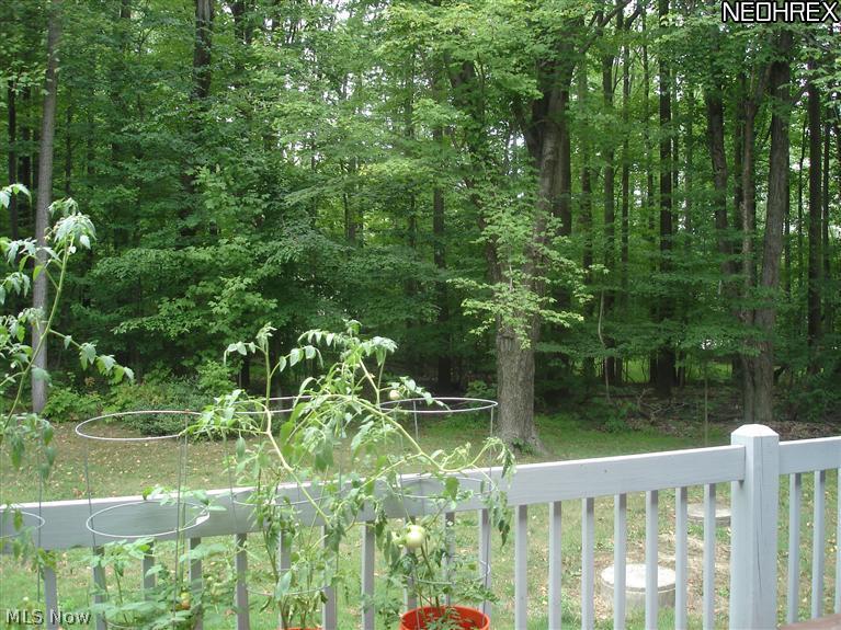 16532 Haskins Road Bainbridge, OH 44023 - Photo 15 of 19 Backkyard view from the deck looking to the woods