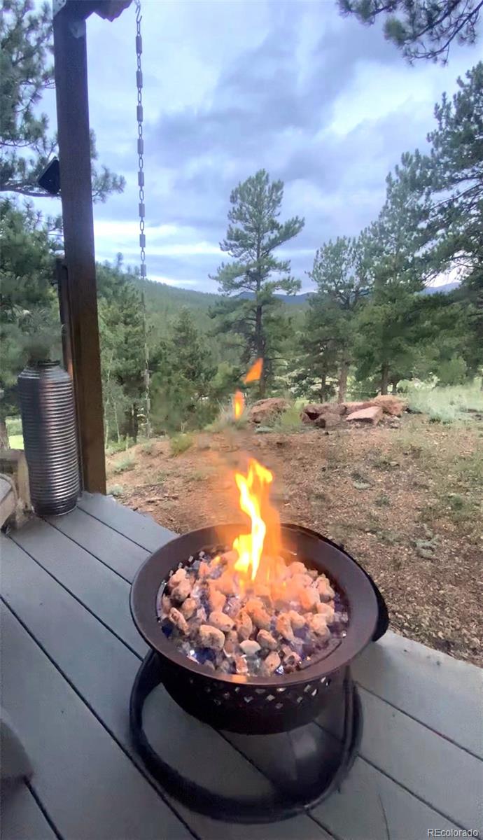 226 Hall Road Bailey, CO 80421 - Photo 4 of 26