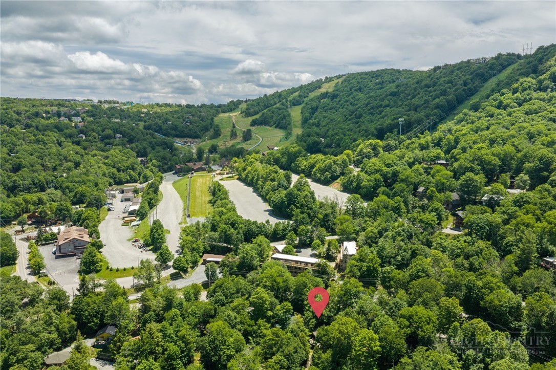 142 Village Cluster Road Beech Mountain, NC 28604 - Photo 28 of 29