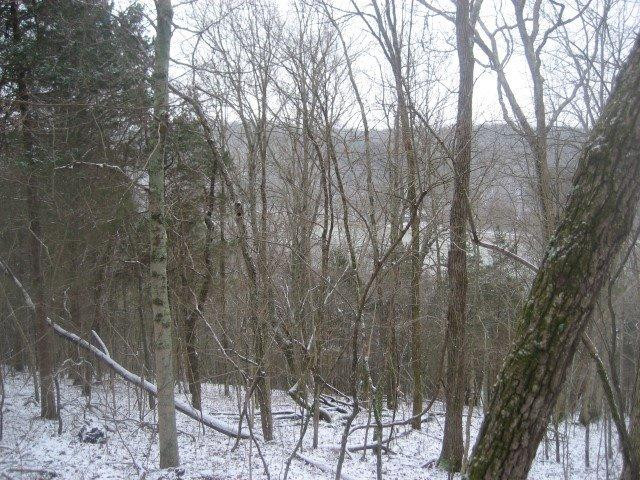 181 Driscoll Road Mount Eden, KY 40046 - Photo 4 of 23 Photo 4