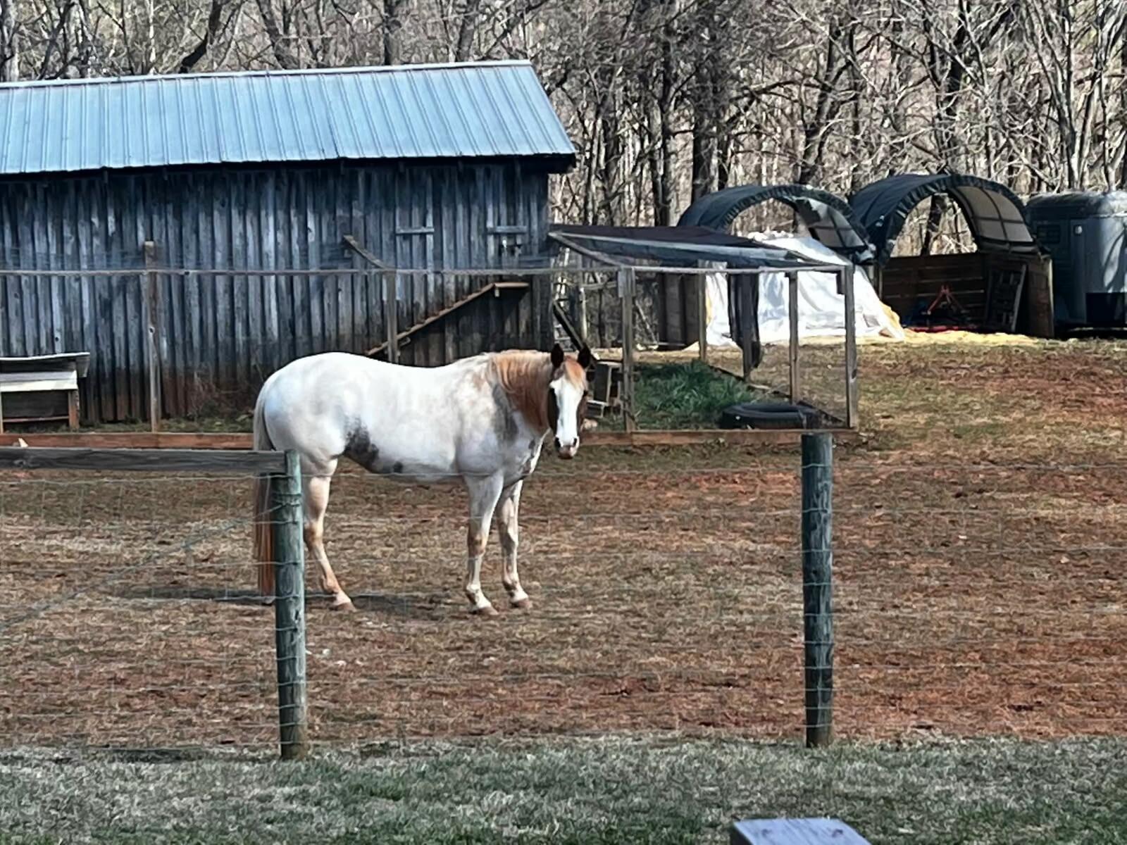 955 Kingston Road Wirtz, VA 24184 - Photo 49 of 60 image000000 (1)