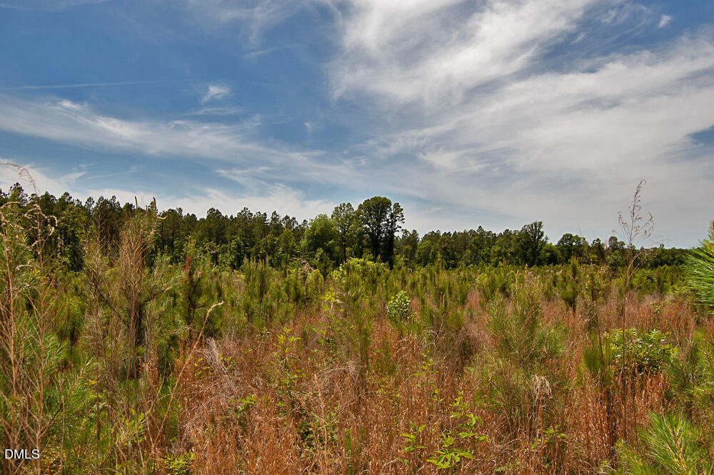 K K G F Ball Road Louisburg, NC 27549 - Photo 2 of 4