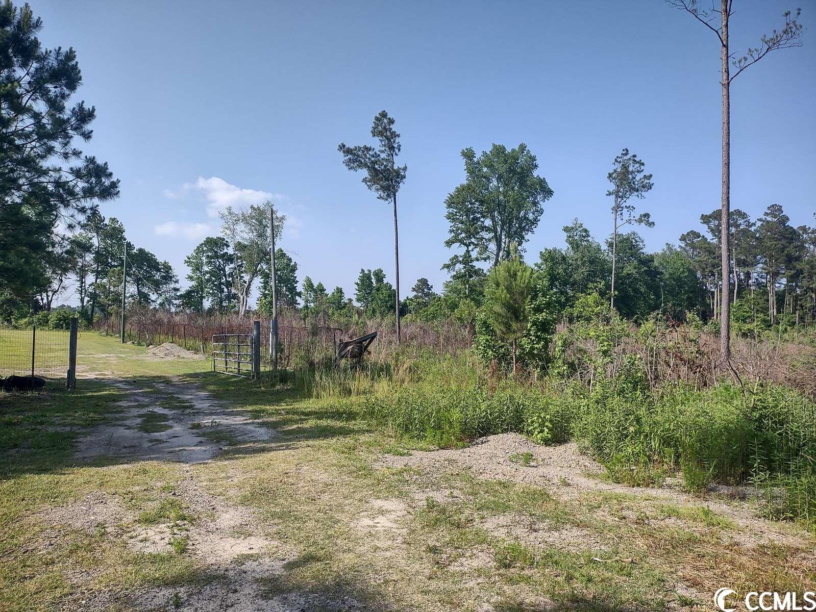 814 Ray Road Hemingway, SC 29554 - Photo 1 of 9