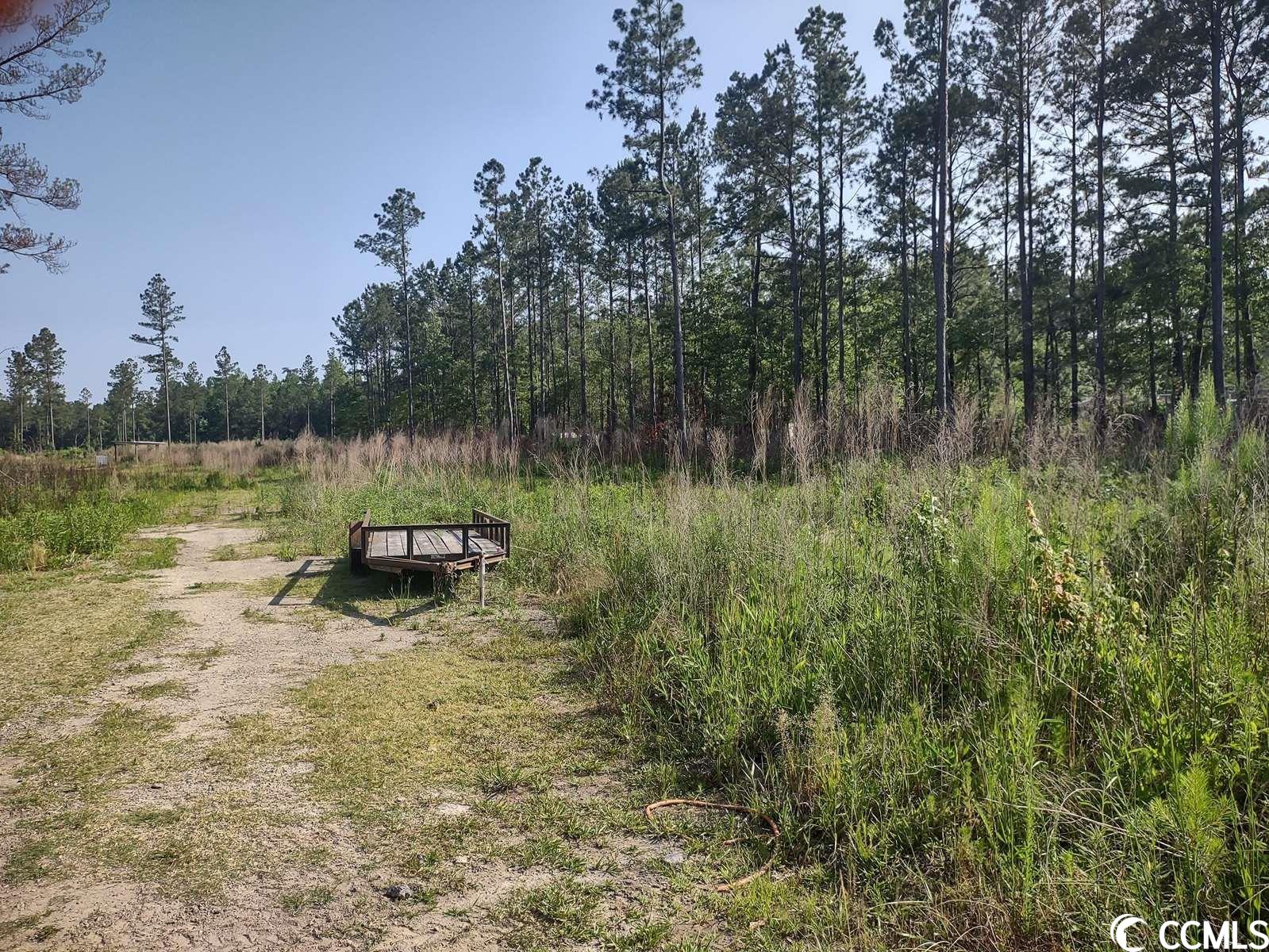814 Ray Road Hemingway, SC 29554 - Photo 3 of 9
