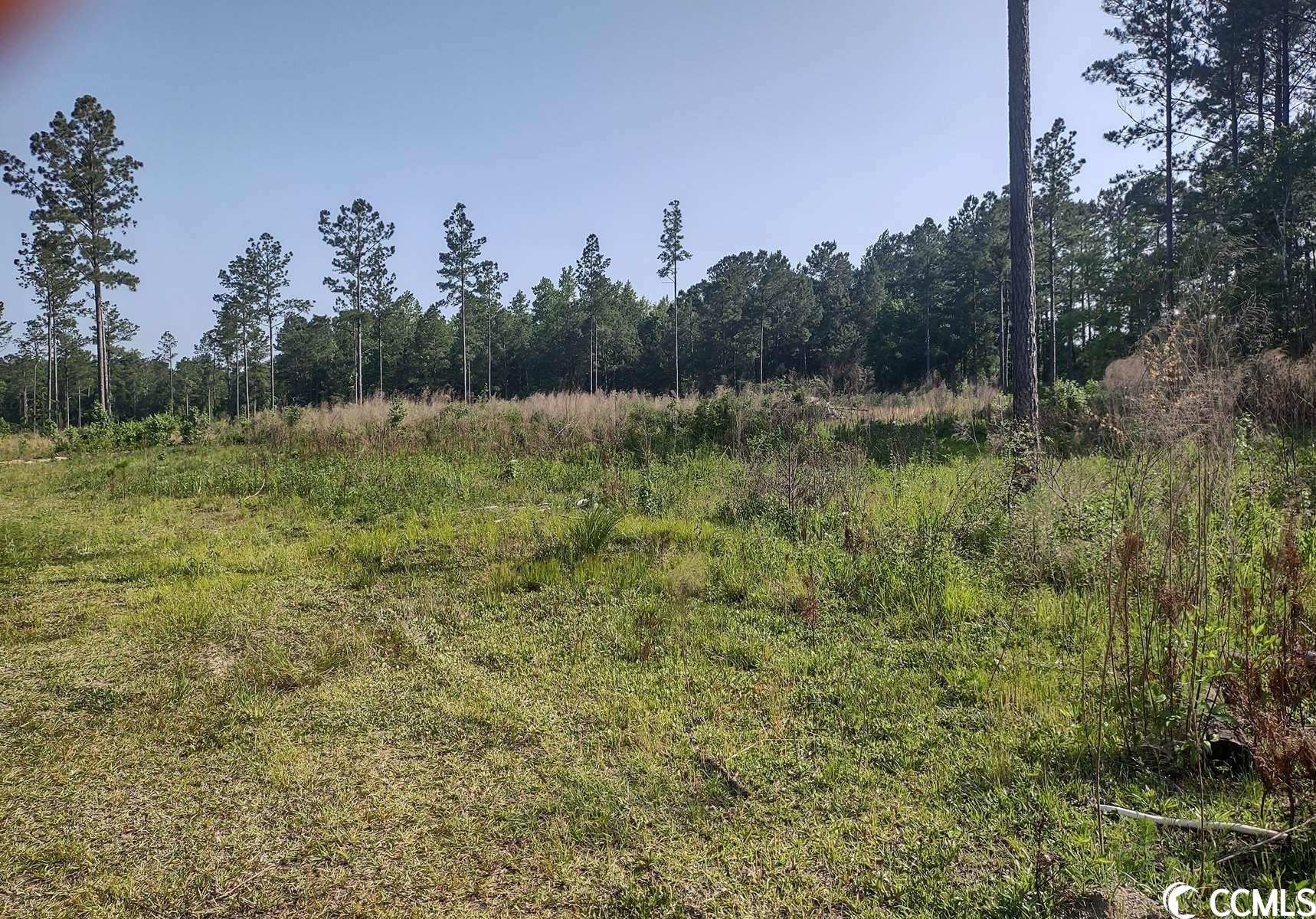 814 Ray Road Hemingway, SC 29554 - Photo 4 of 9