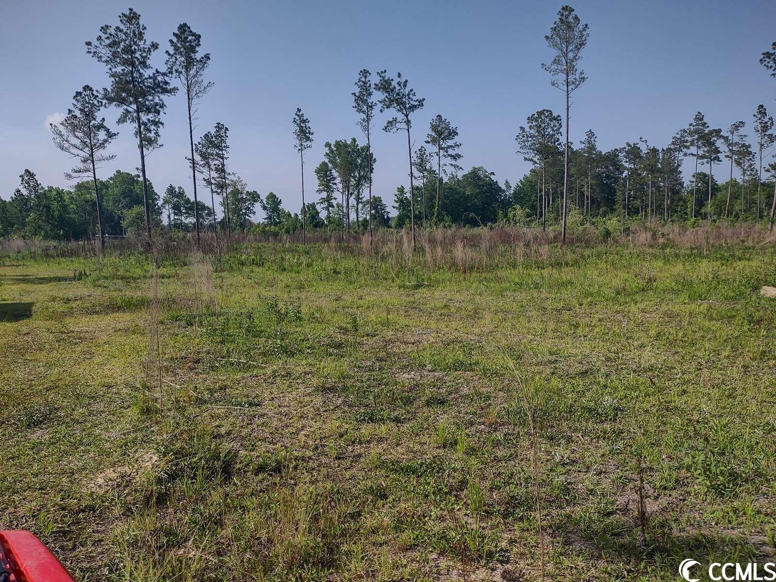 814 Ray Road Hemingway, SC 29554 - Photo 9 of 9