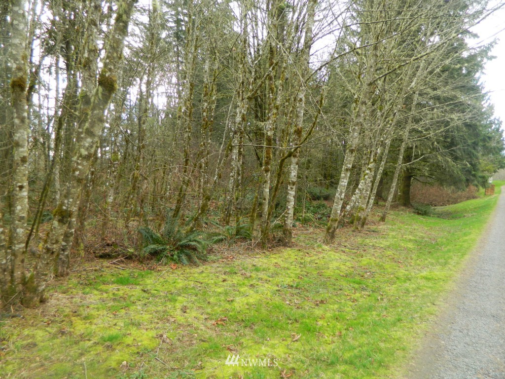 0 Studebaker Rd Spur Castle Rock, WA 98611 - Photo 11 of 16 Gallery Image 11