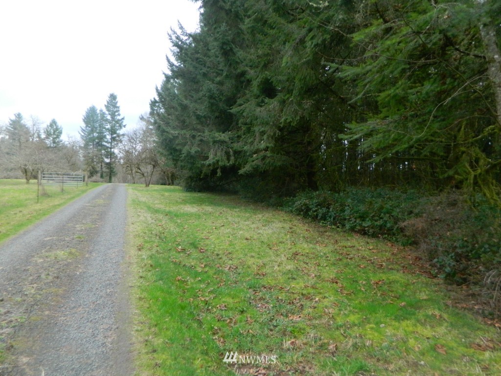 0 Studebaker Rd Spur Castle Rock, WA 98611 - Photo 12 of 16 Gallery Image 12