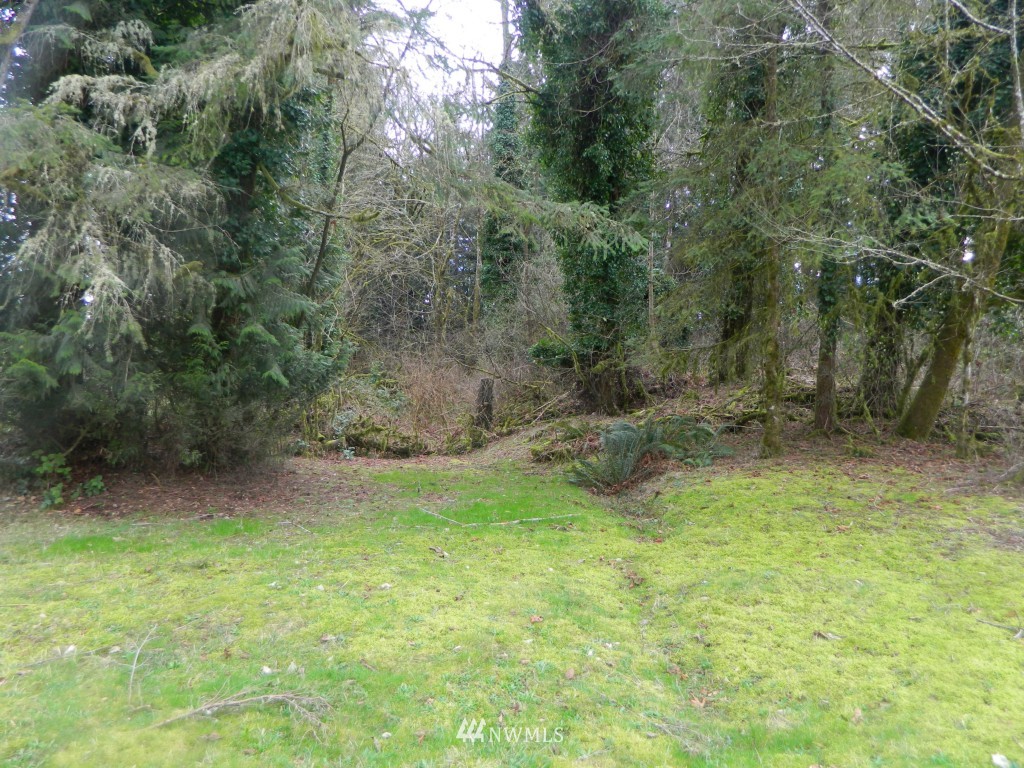 0 Studebaker Rd Spur Castle Rock, WA 98611 - Photo 13 of 16 Gallery Image 13