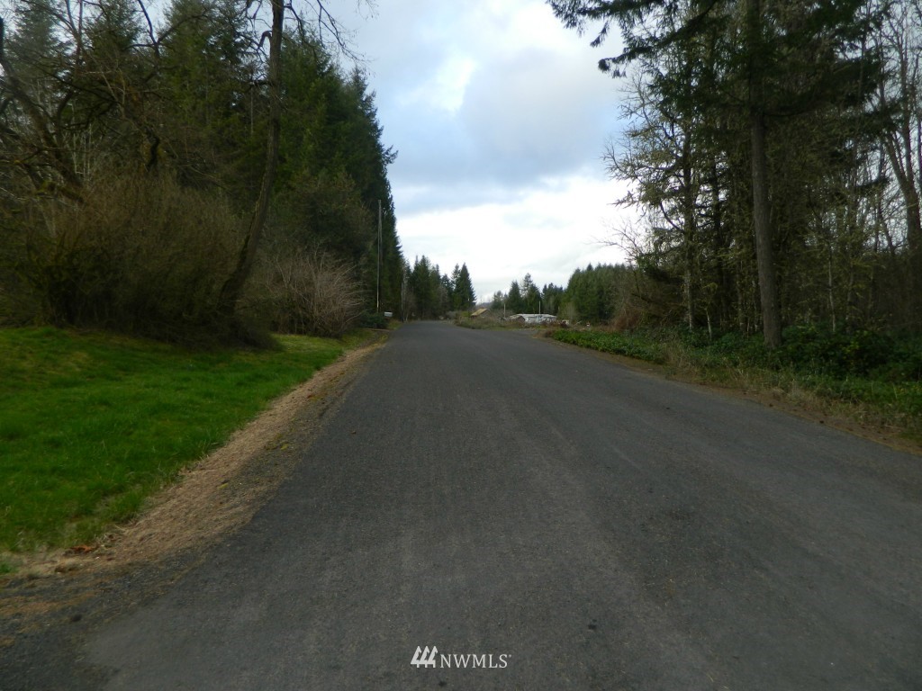 0 Studebaker Rd Spur Castle Rock, WA 98611 - Photo 14 of 16 Gallery Image 14