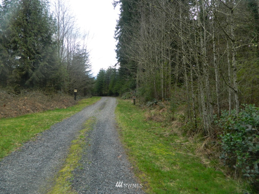 0 Studebaker Rd Spur Castle Rock, WA 98611 - Photo 16 of 16 Gallery Image 16