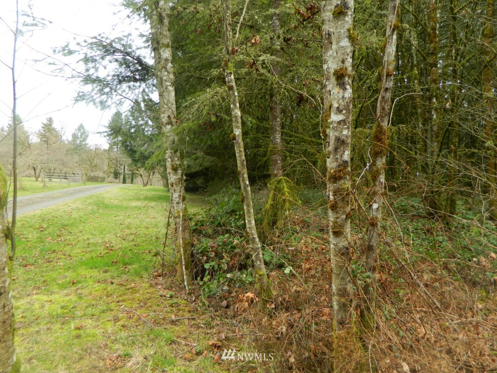 0 Studebaker Rd Spur Castle Rock, WA 98611 - Photo 10 of 16 Gallery Image 10
