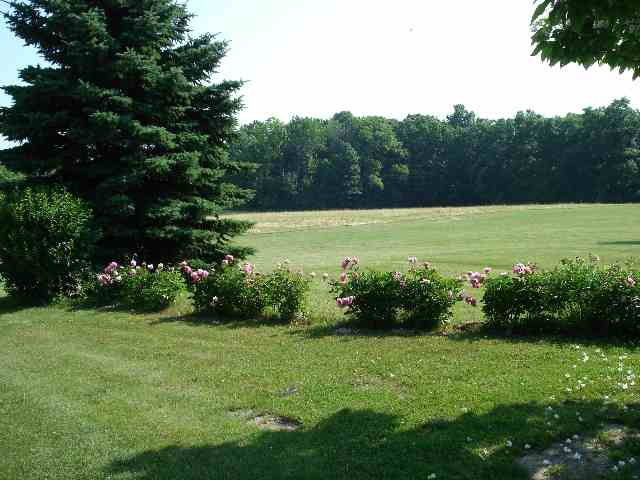 5920 Jefferson Road Clarklake, MI 49234 - Photo 8 of 11 Photo 8
