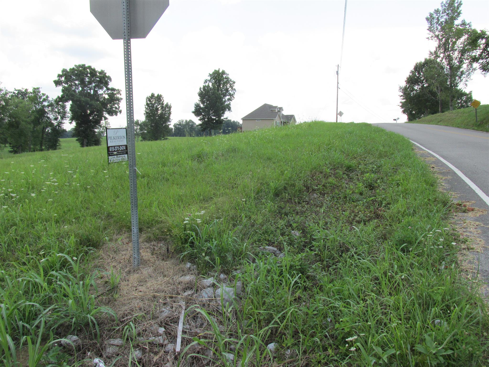 2001 Rieves Bend Road Columbia, TN 38401 - Photo 3 of 11 Gallery Image 3