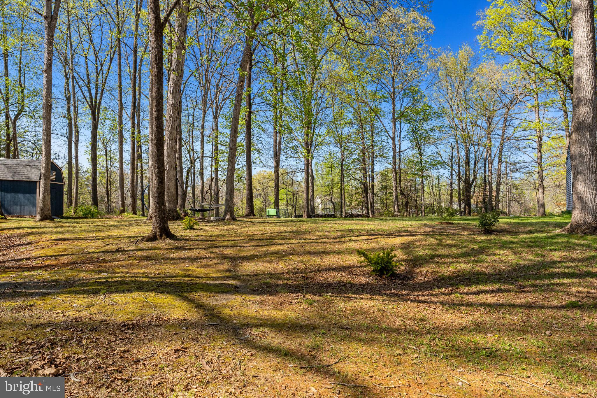 11016 Mt Zion Church Road Brandy Station, VA 22714 - Photo 40 of 41