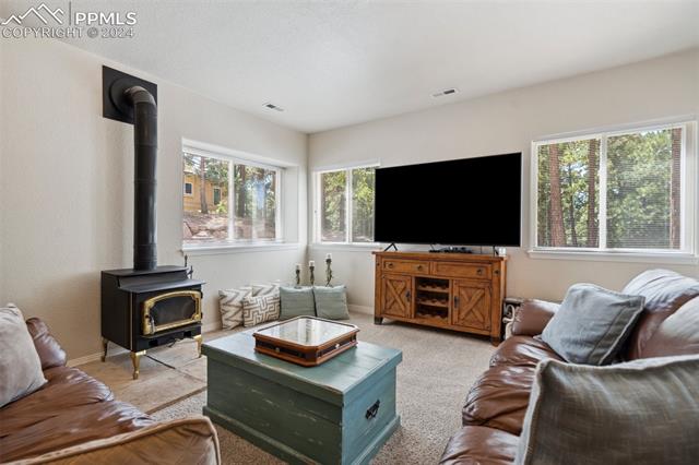 15580 Falcon Ridge Court Colorado Springs, CO 80921 - Photo 37 of 49 Gallery Image 37