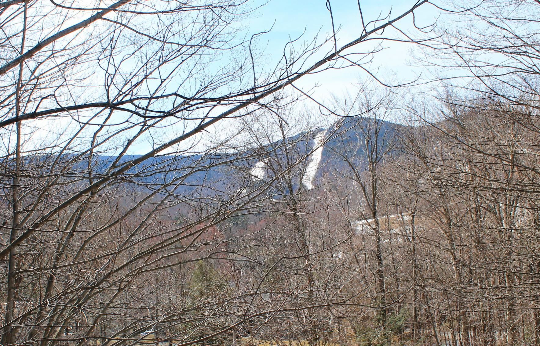 28 Fox Run Road, Unit 1 & #2 Lincoln, NH 03251 - Photo 2 of 40