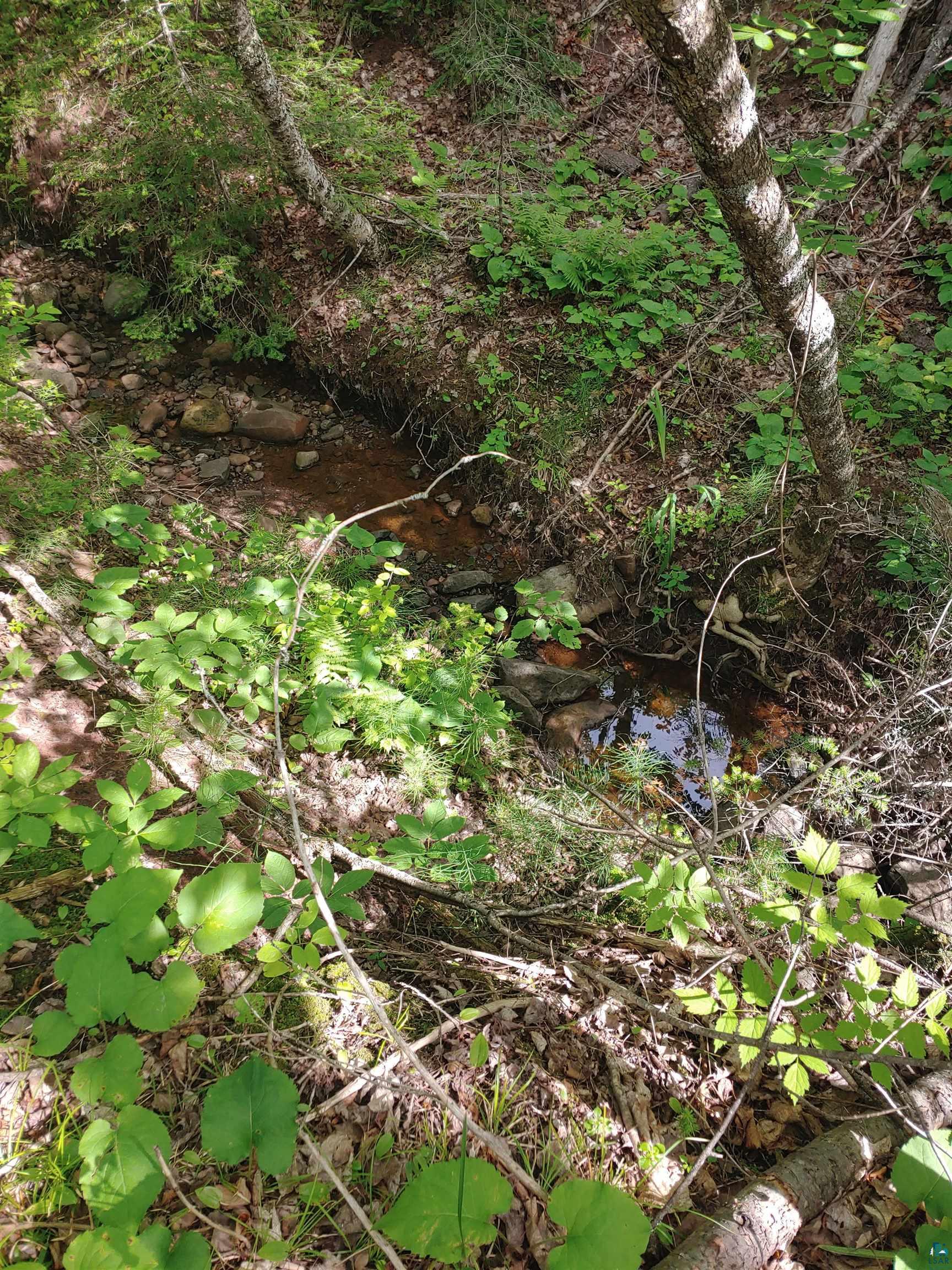 Two Gun Club Road Two Harbors, MN 55616 - Photo 3 of 10