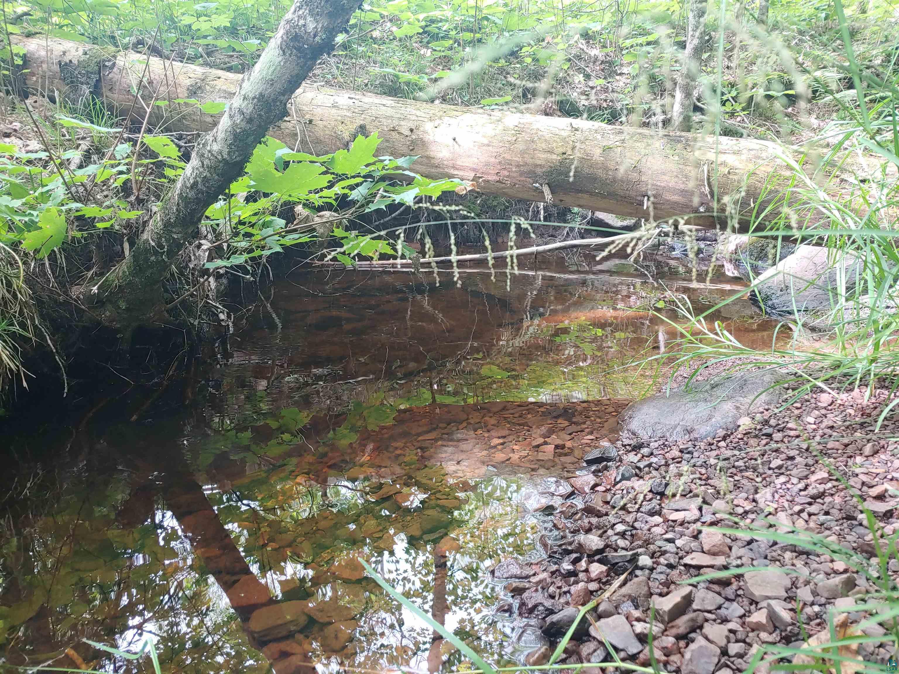 Two Gun Club Road Two Harbors, MN 55616 - Photo 4 of 10