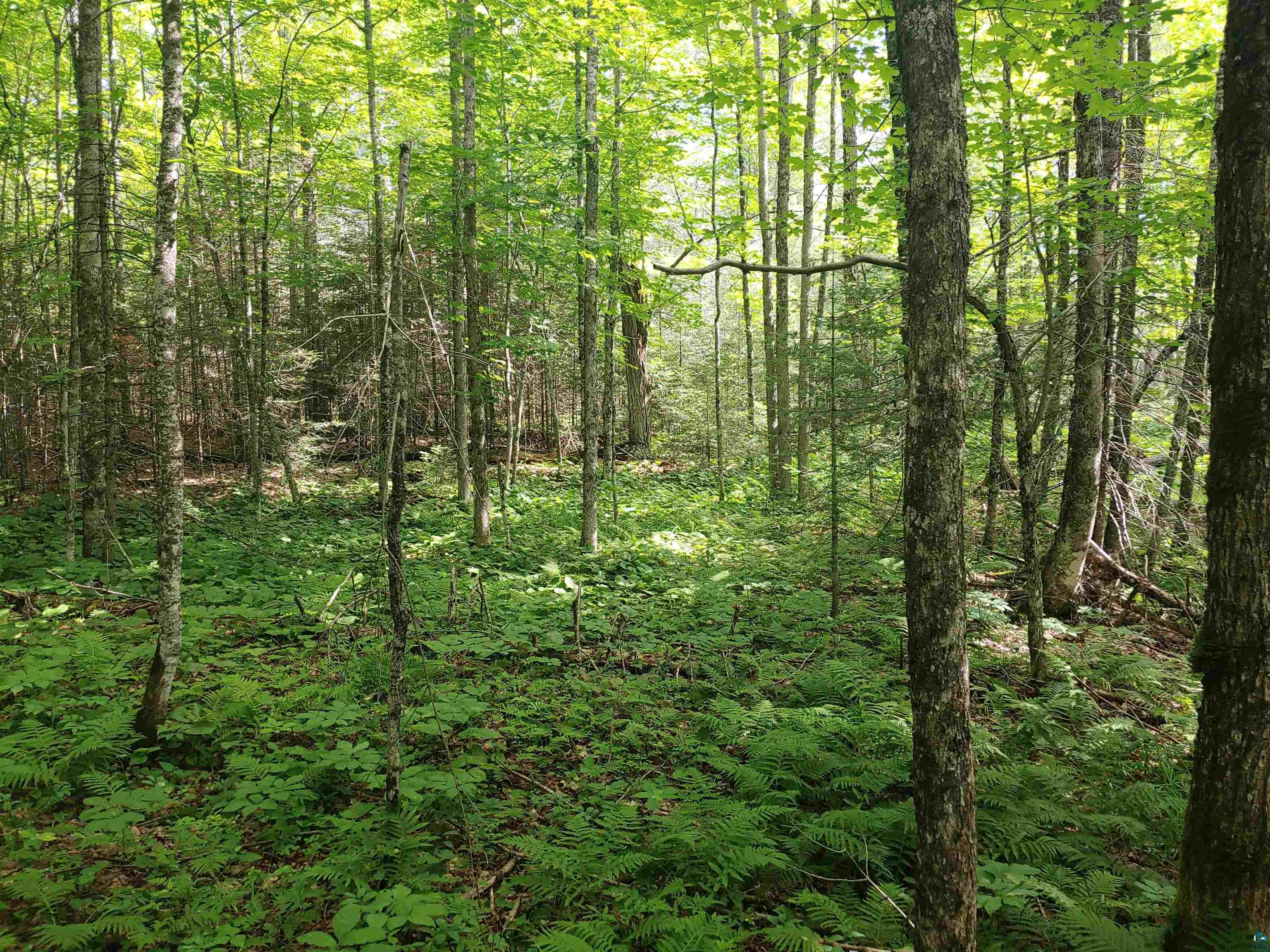 Two Gun Club Road Two Harbors, MN 55616 - Photo 5 of 10