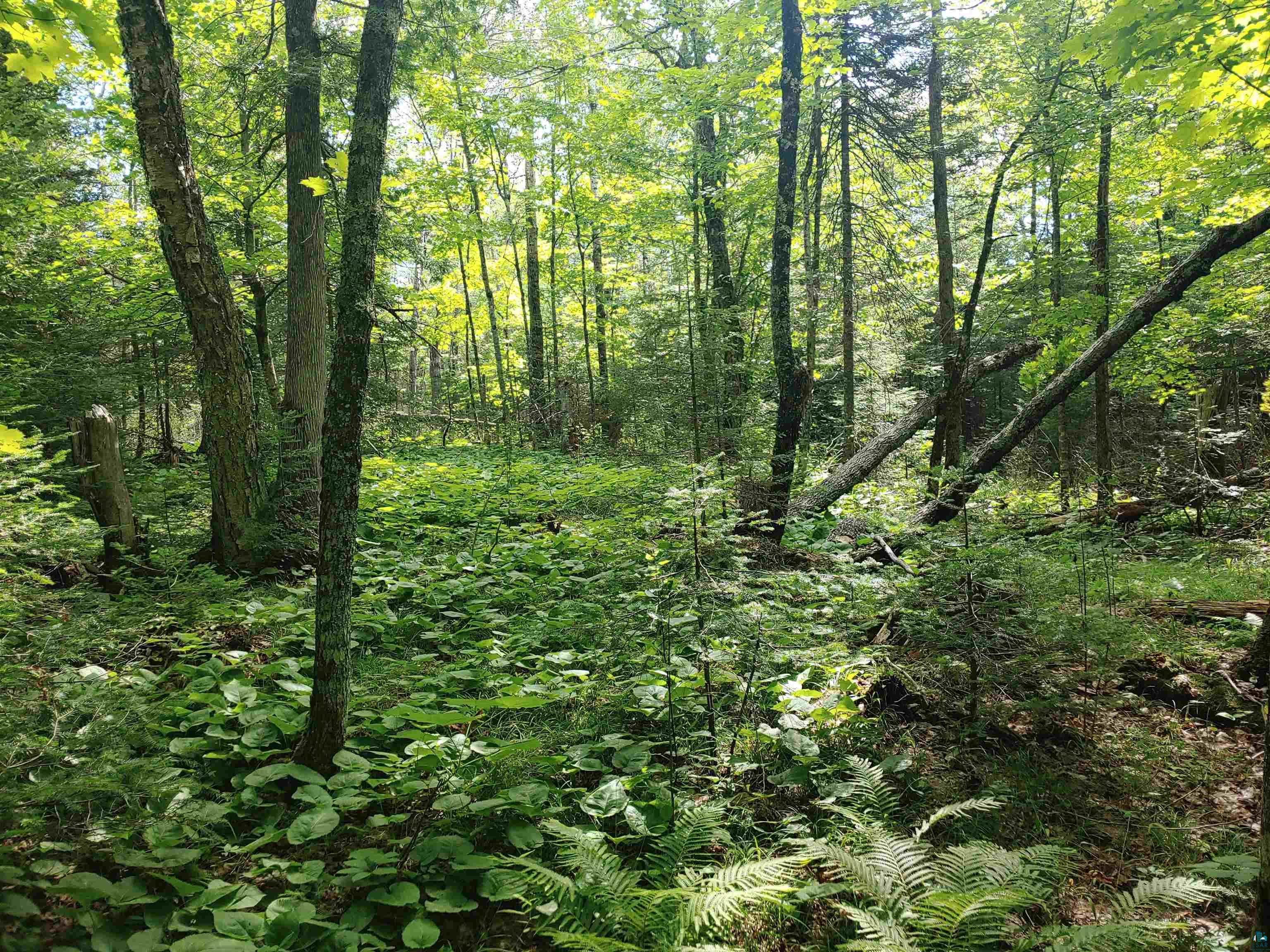 Two Gun Club Road Two Harbors, MN 55616 - Photo 7 of 10