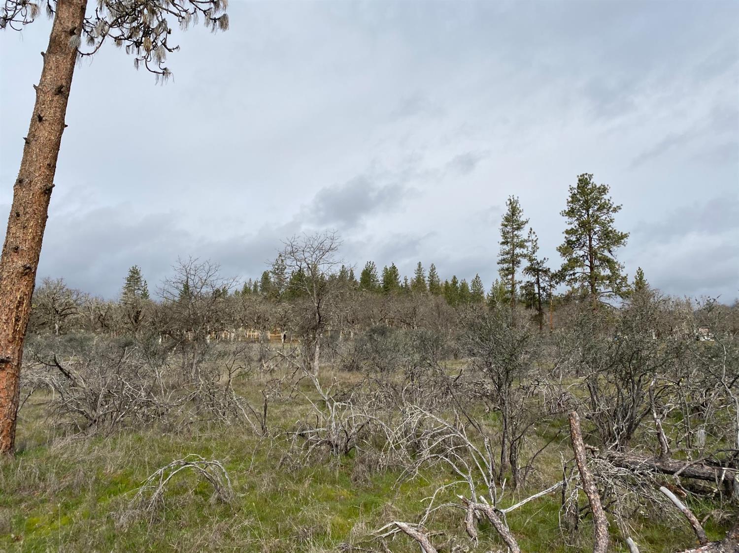 15619 Jones Road White City, OR 97503 - Photo 4 of 5 Additional Photo