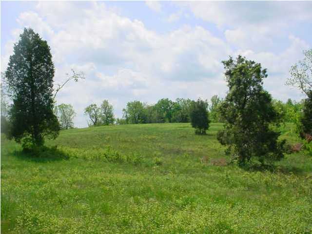 3 Mcmannis Rd Port Turners Station, KY 40075 - Photo 7 of 10 Additional Photo