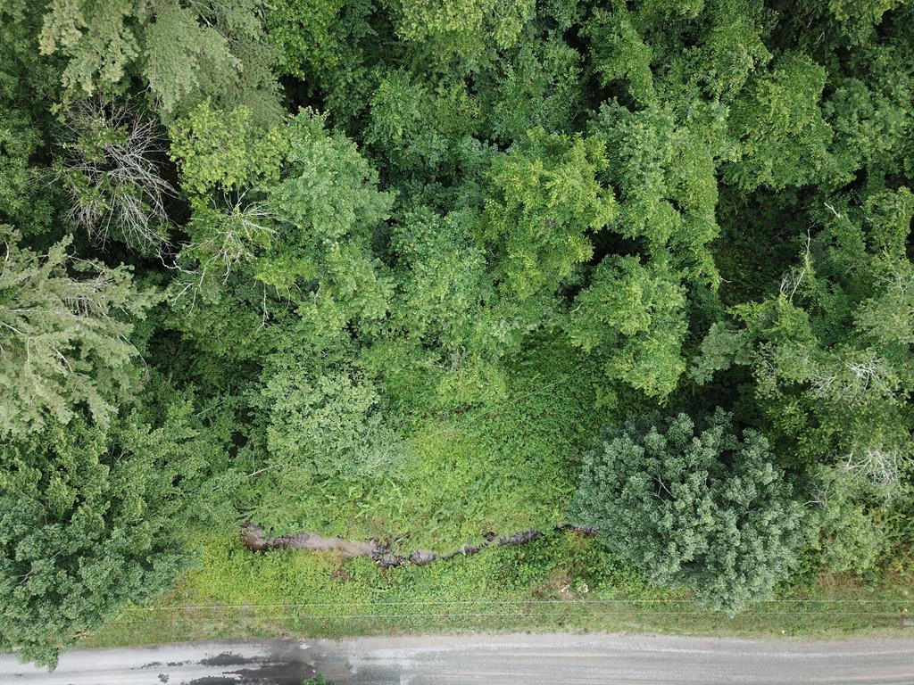 Tbd Hines Branch Road Elk Creek, VA 24326 - Photo 2 of 15 Gallery Image 2