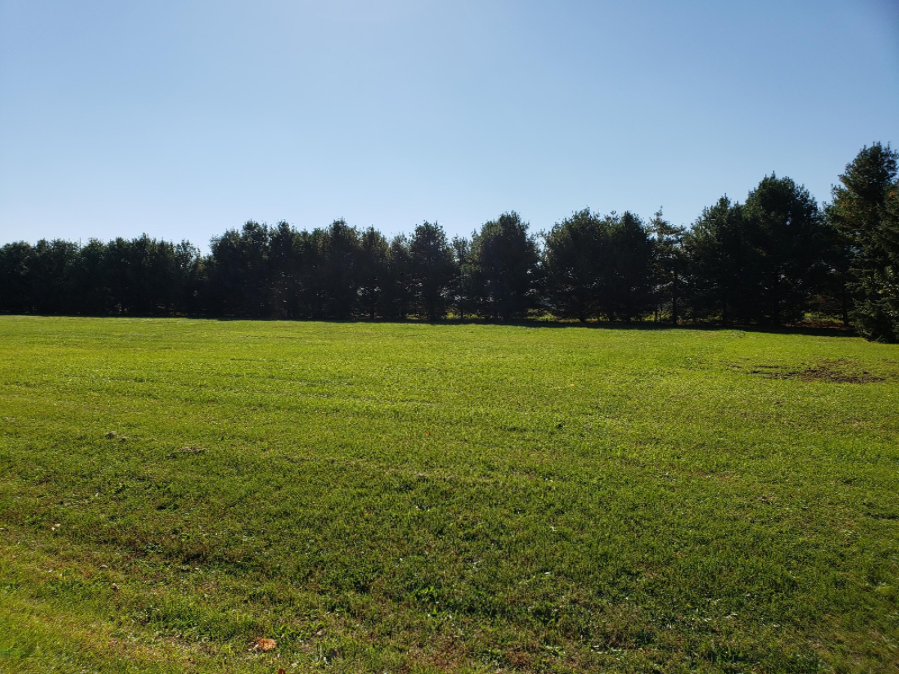 woodside